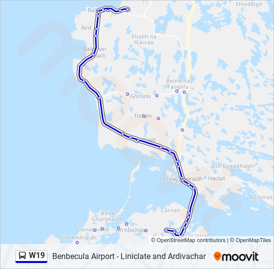 W19 Bus Line Map