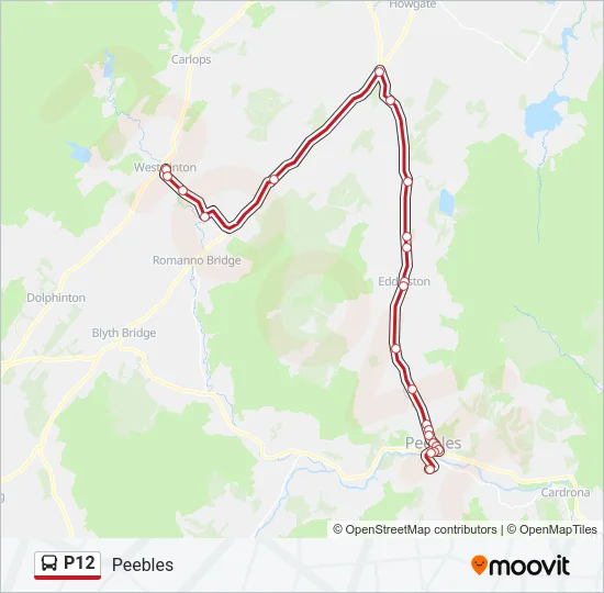 P12 Bus Line Map