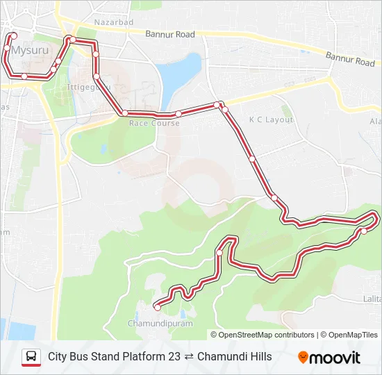 V-201 Bus Line Map