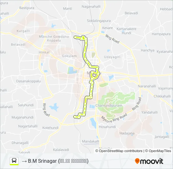 15 Bus Line Map