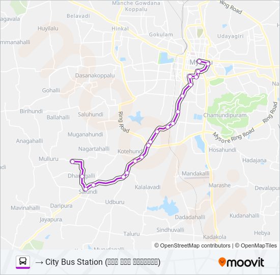 2D bus Line Map