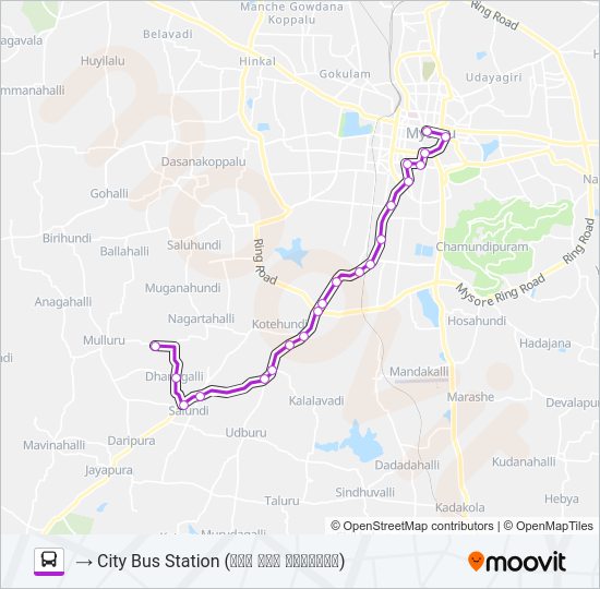 2D bus Line Map