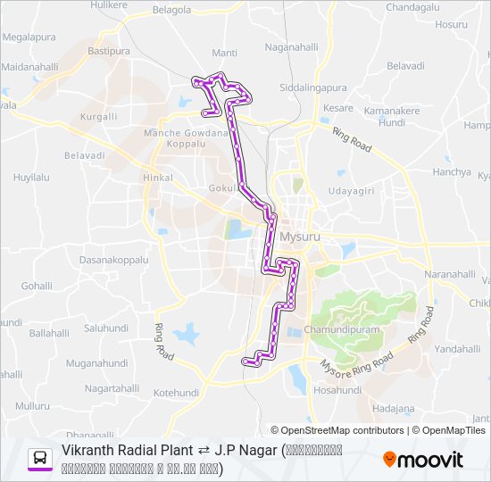 11F Bus Line Map