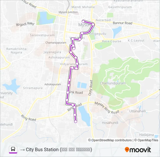 13G Bus Line Map