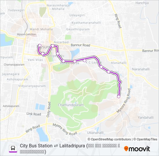 202 Bus Line Map