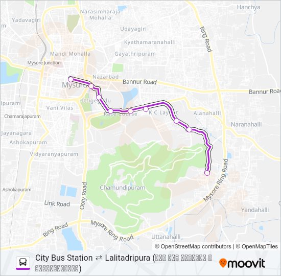 202 Bus Line Map