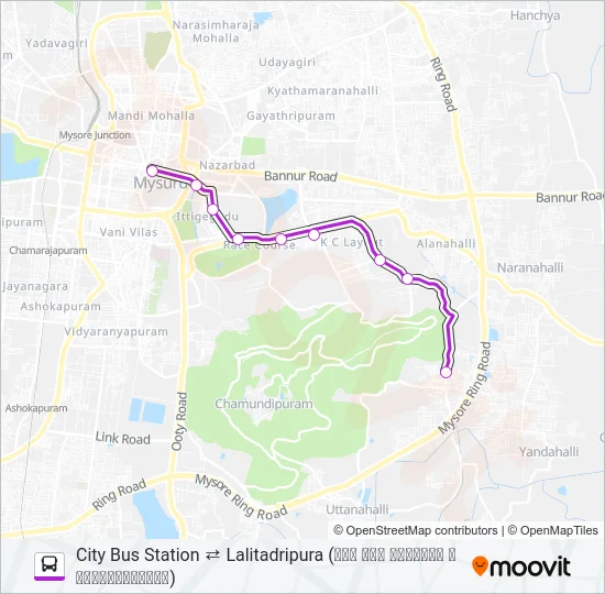 202 Bus Line Map