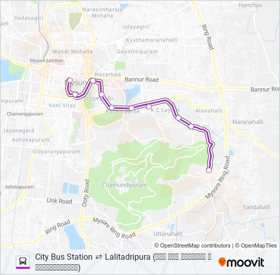 202 bus Line Map