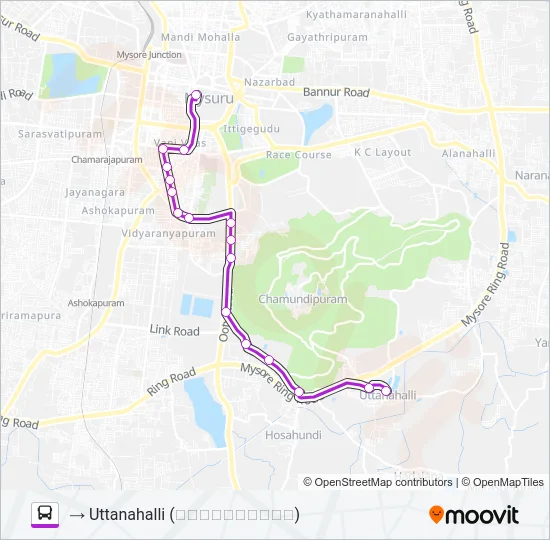 203 Bus Line Map