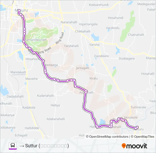 205 Bus Line Map