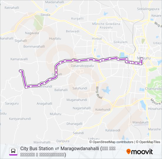 250 Bus Line Map