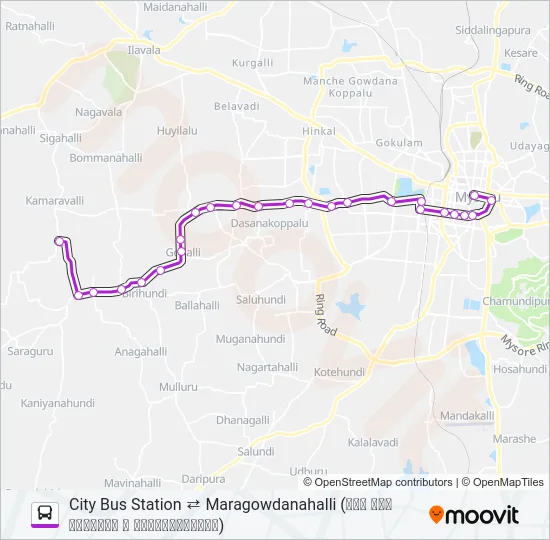 250 Bus Line Map