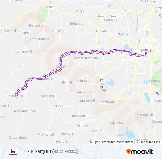 251 Bus Line Map