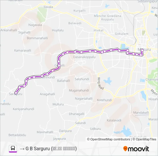 251 Bus Line Map