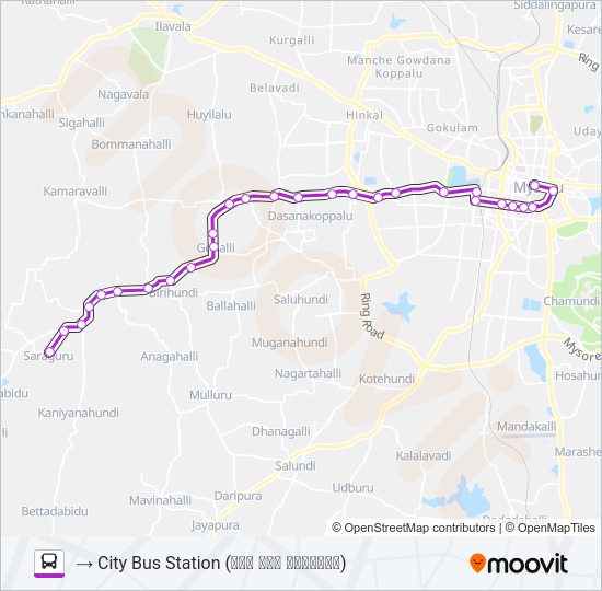 251 Bus Line Map