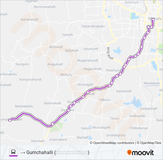 255 Bus Line Map