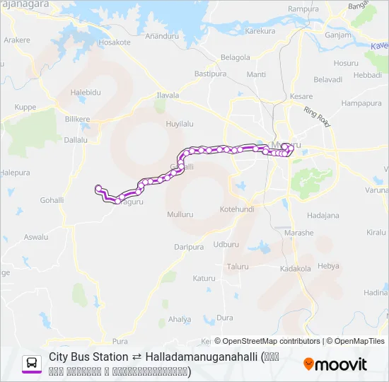 258 Bus Line Map