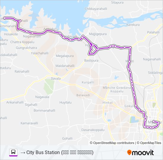 305 bus Line Map