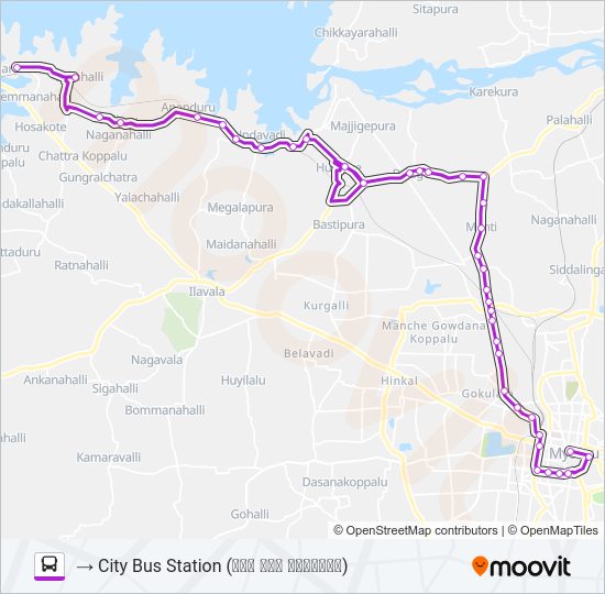 305 Bus Line Map