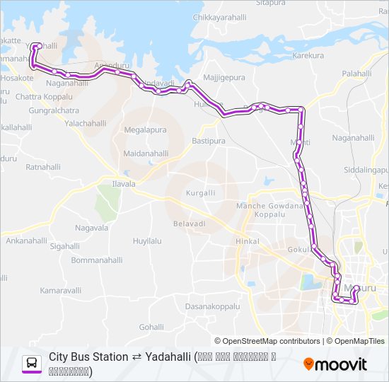 306 Bus Line Map