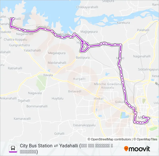 306 Bus Line Map