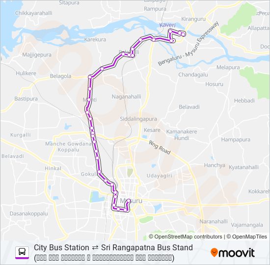 307 bus Line Map