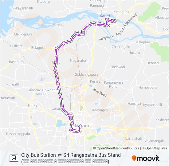 307 Bus Line Map