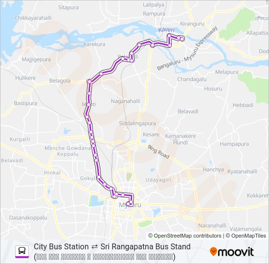 307 Bus Line Map