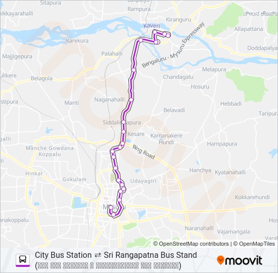 313 Bus Line Map