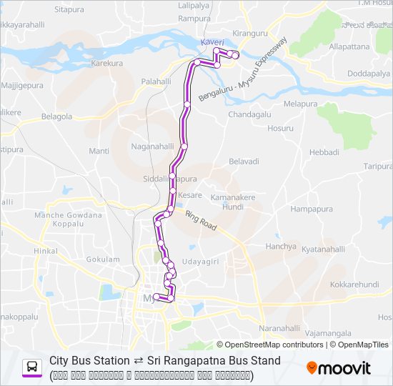 313 Bus Line Map