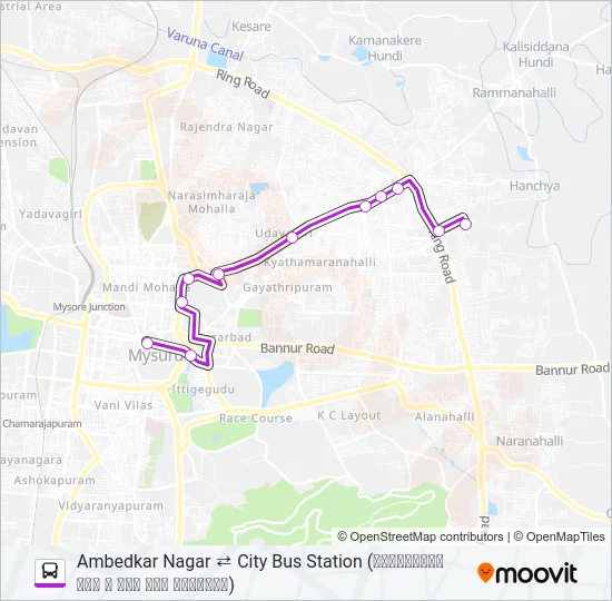 110D Bus Line Map