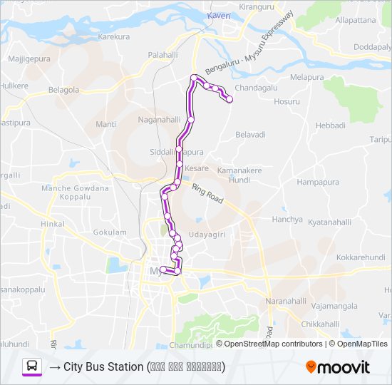 161N bus Line Map