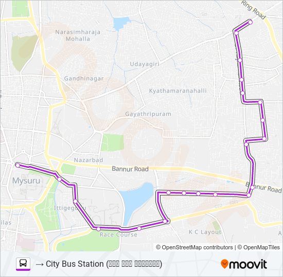 199S bus Line Map