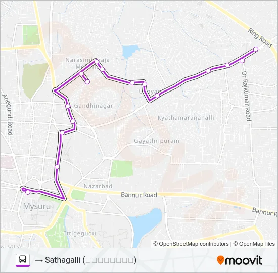 199S Bus Line Map