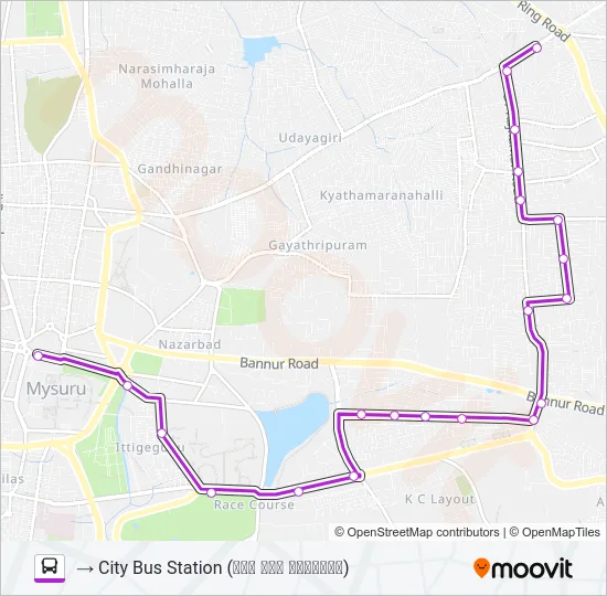 199S Bus Line Map