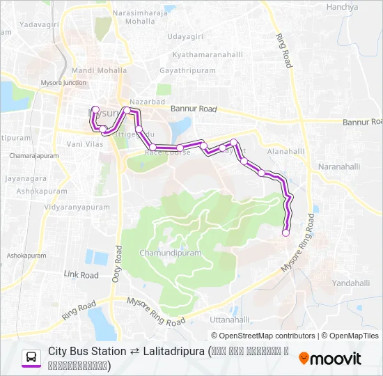 202A Bus Line Map
