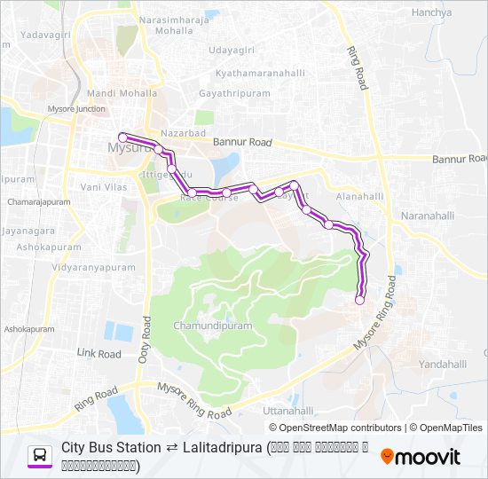 202A Bus Line Map