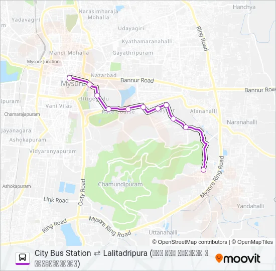 202A Bus Line Map