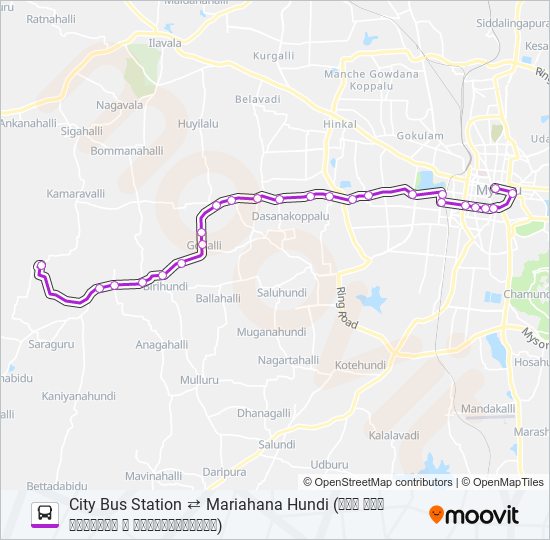 250A Bus Line Map