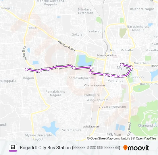 250M Bus Line Map