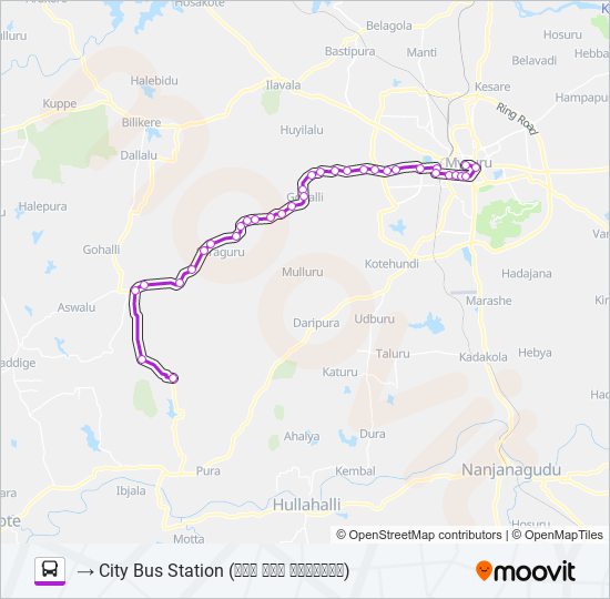 251C bus Line Map