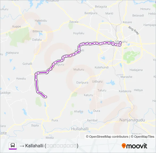 251C Bus Line Map