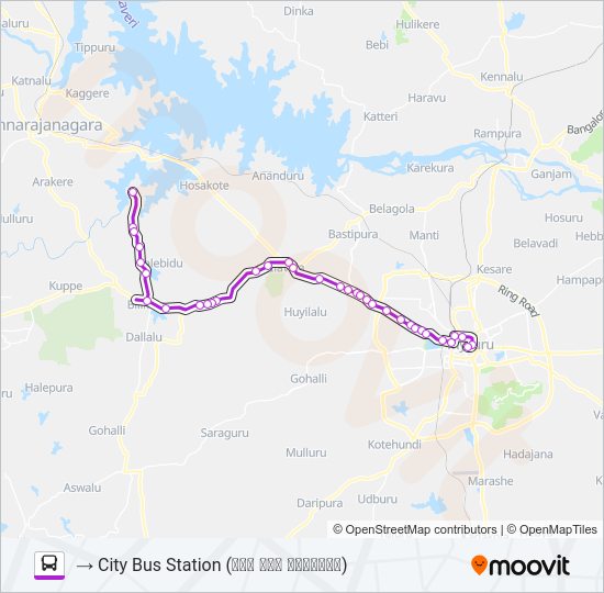 265B Bus Line Map