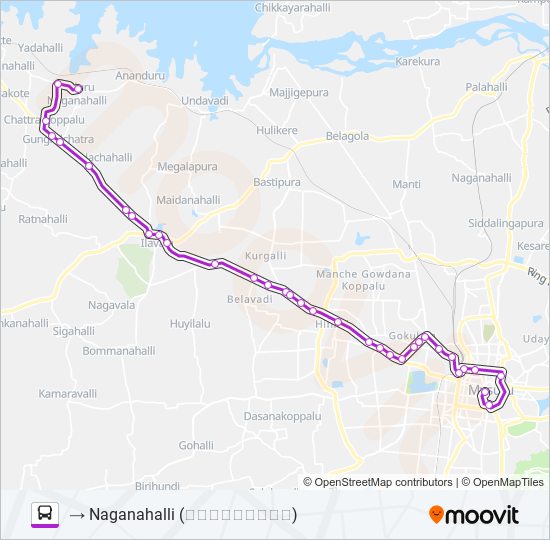 272N bus Line Map