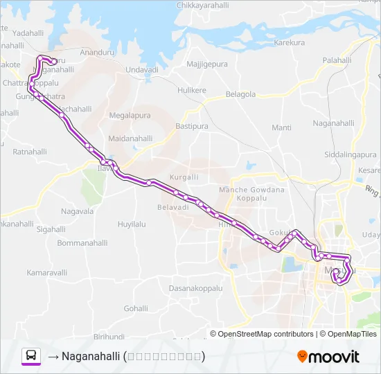 272N Bus Line Map
