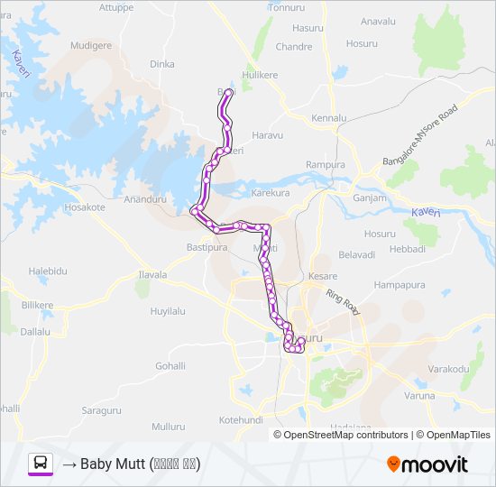 303E Bus Line Map