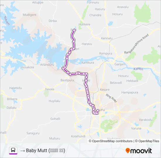 303E Bus Line Map