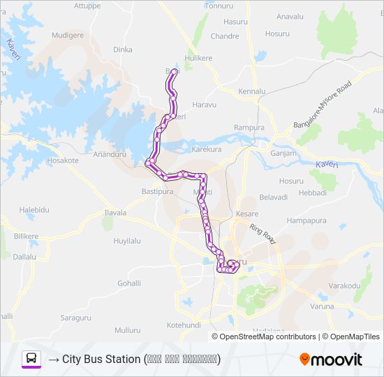 303E Bus Line Map