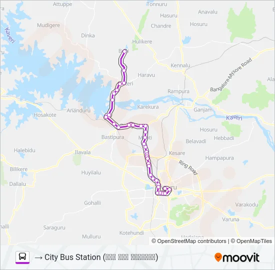 303E Bus Line Map