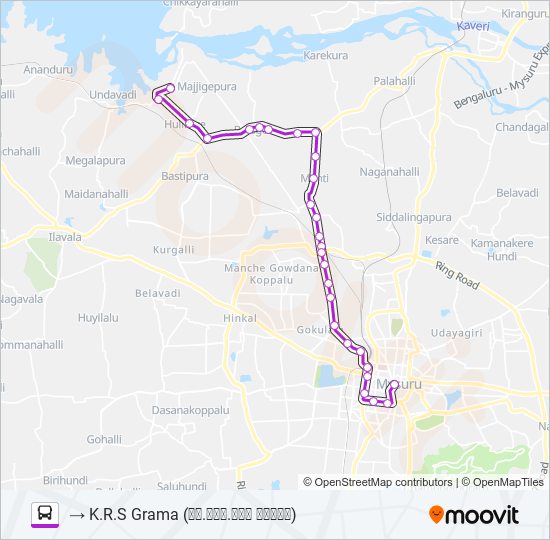 303K Bus Line Map